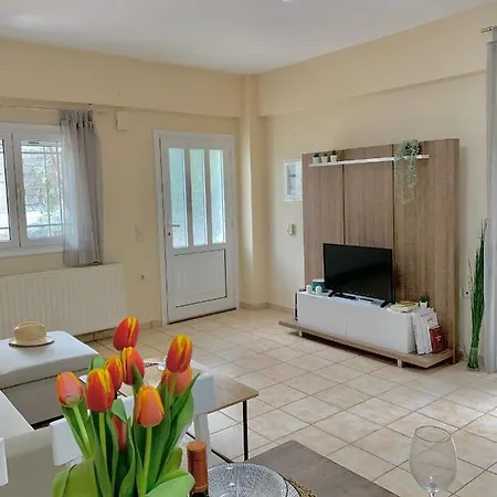 Olive Tree Lefkada City