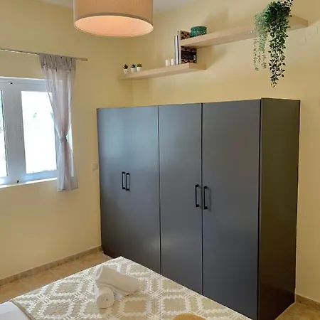 Olive Tree * Lefkada City