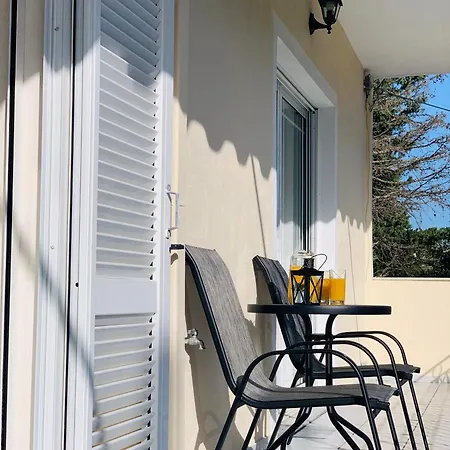 Olive Tree * Lefkada City