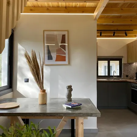 Olive Tree * Lefkada City