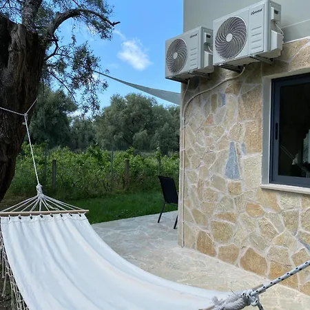 Olive Tree *