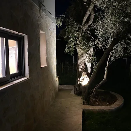 Olive Tree Apartment *
